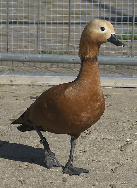 与看点